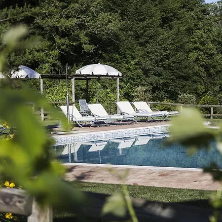 Villa - Podere Monti